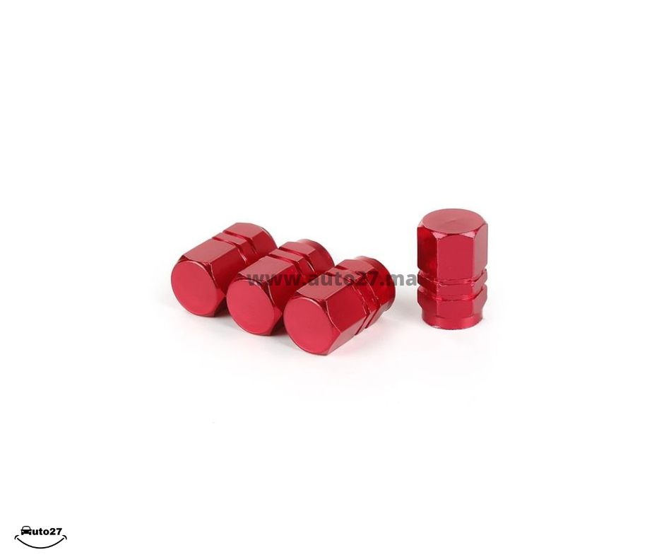 BOUCHONS POUR VALVE STD